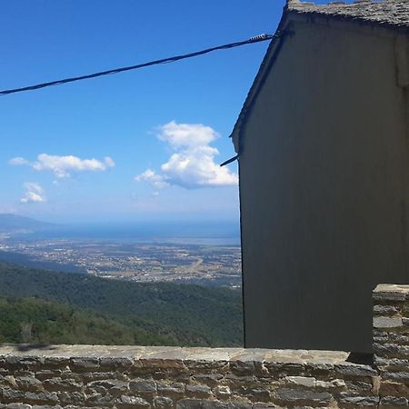 Gite La Fontaine Corse Loreto-di-Casinca 外观 照片