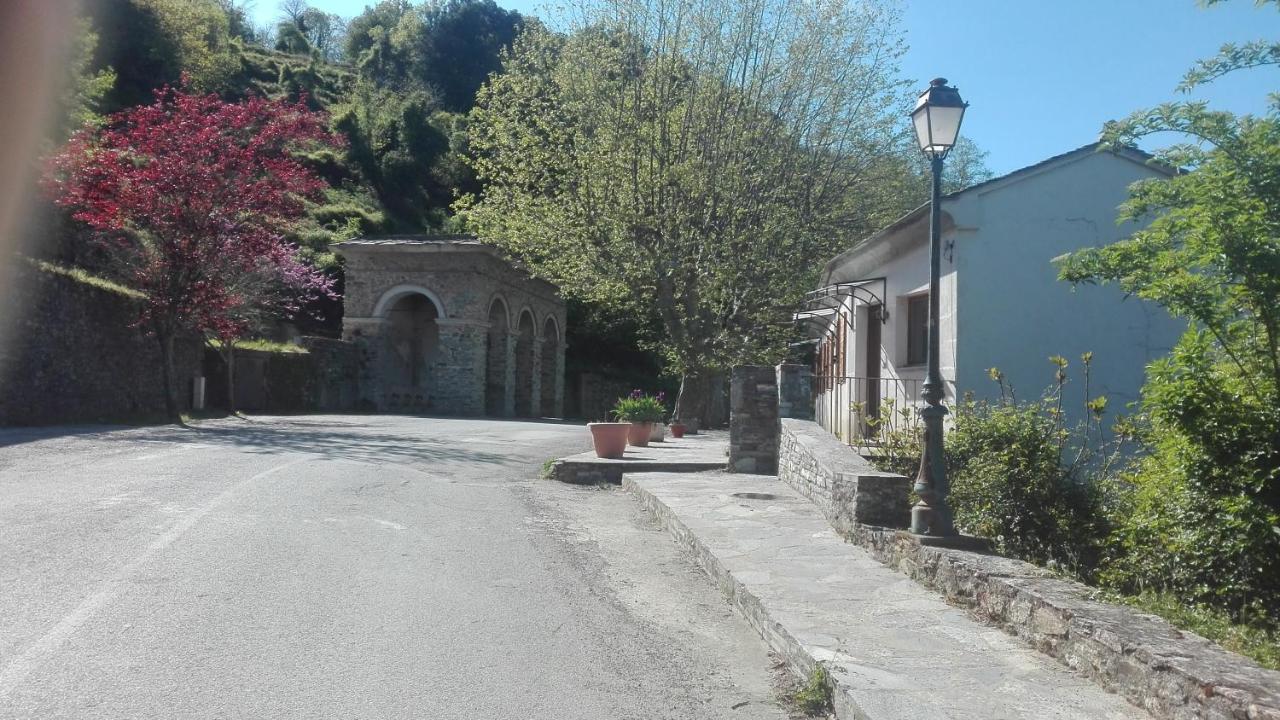 Gite La Fontaine Corse Loreto-di-Casinca 外观 照片