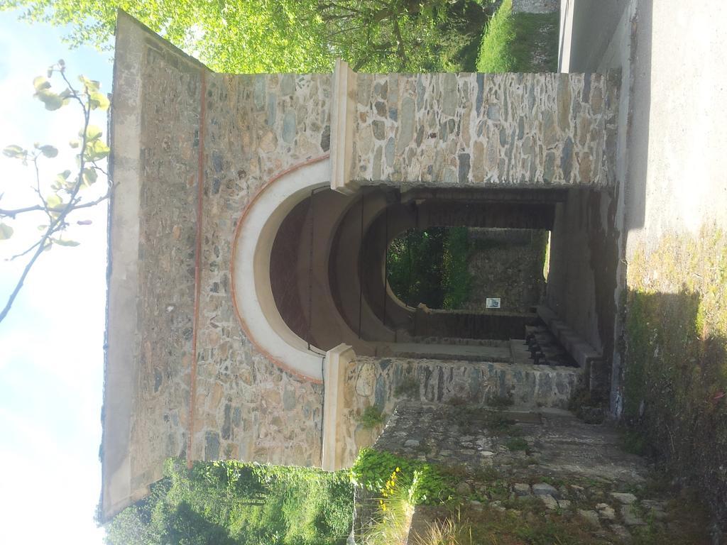 Gite La Fontaine Corse Loreto-di-Casinca 客房 照片