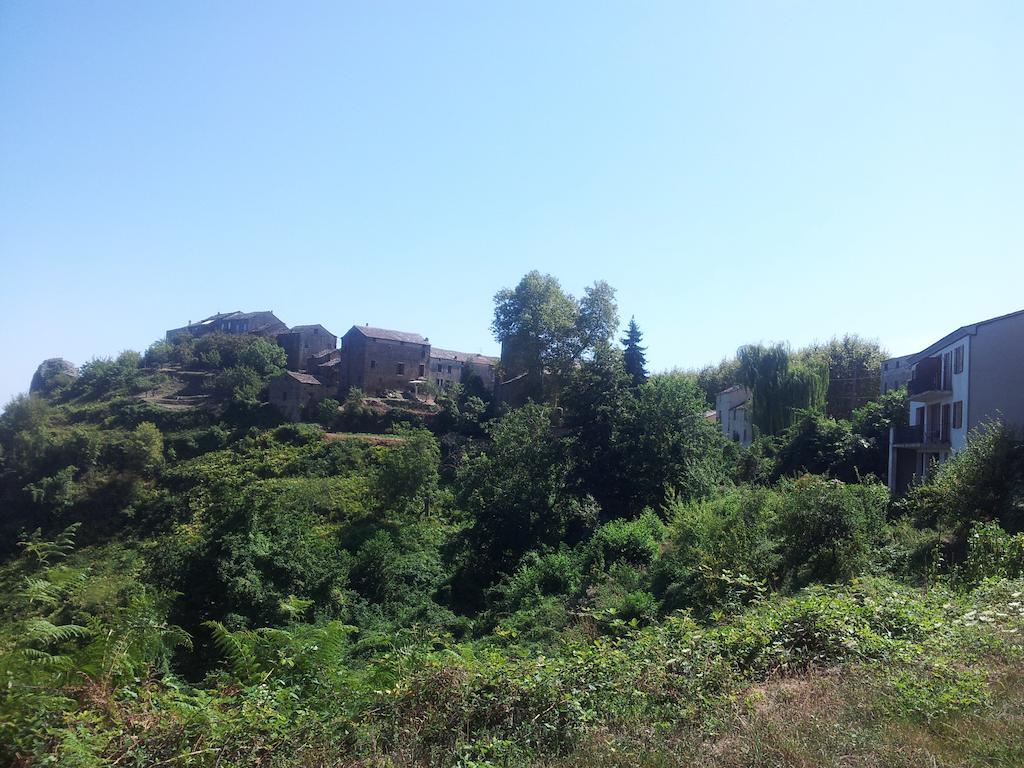 Gite La Fontaine Corse Loreto-di-Casinca 客房 照片