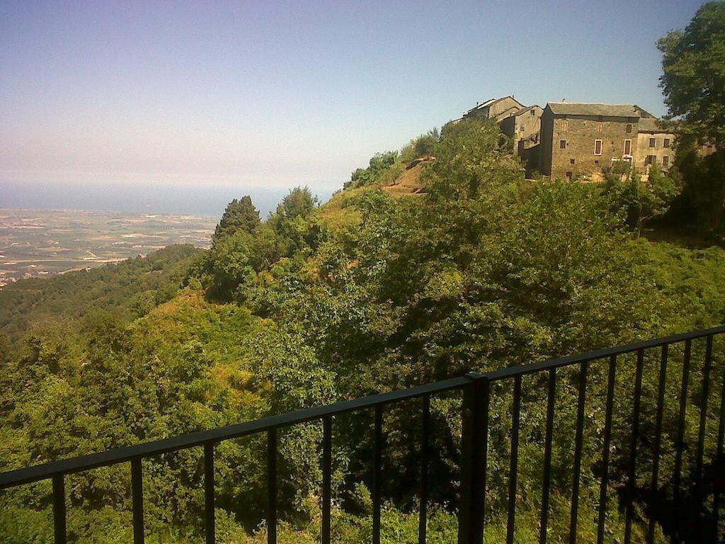 Gite La Fontaine Corse Loreto-di-Casinca 客房 照片