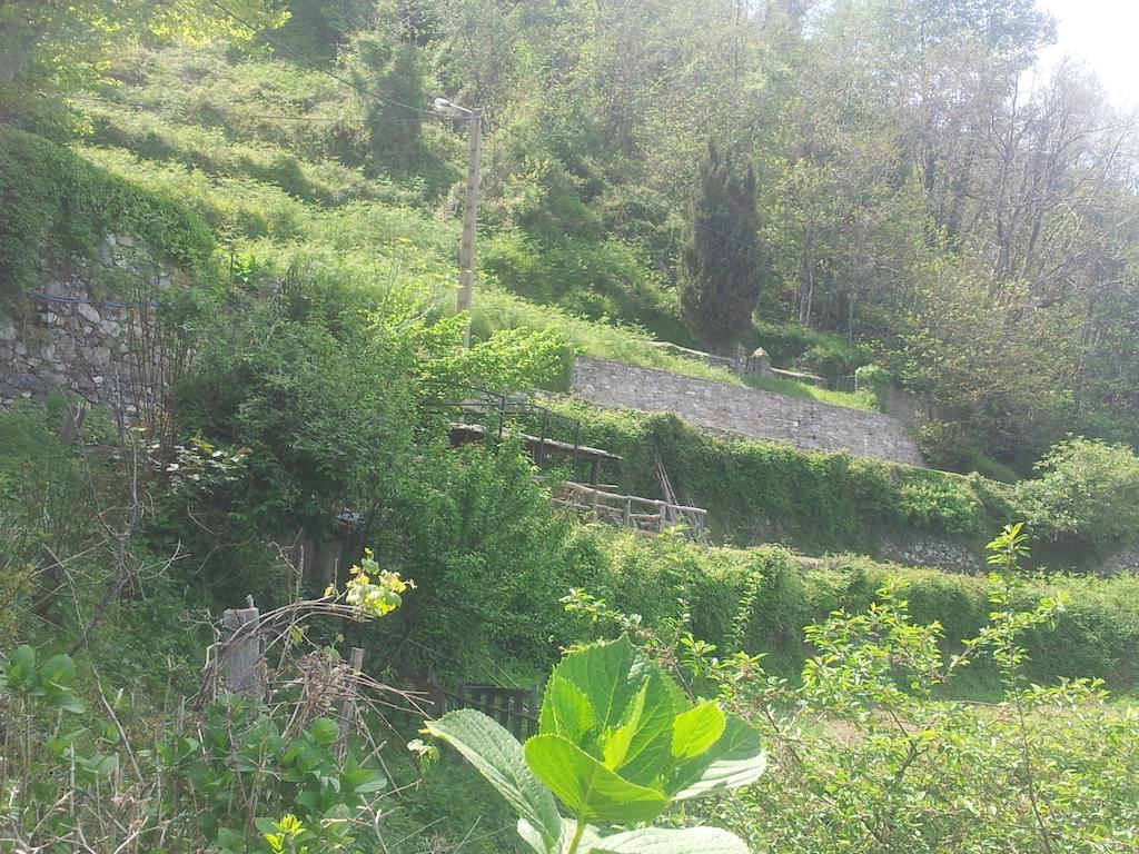 Gite La Fontaine Corse Loreto-di-Casinca 客房 照片