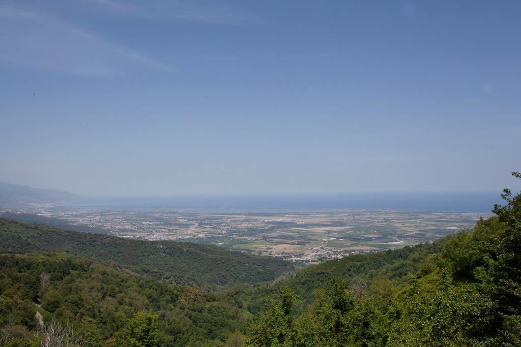 Gite La Fontaine Corse Loreto-di-Casinca 客房 照片