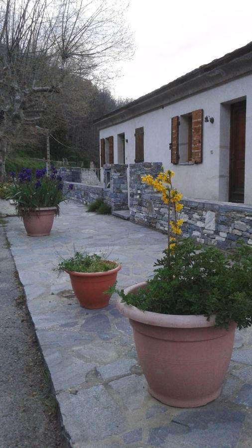 Gite La Fontaine Corse Loreto-di-Casinca 外观 照片
