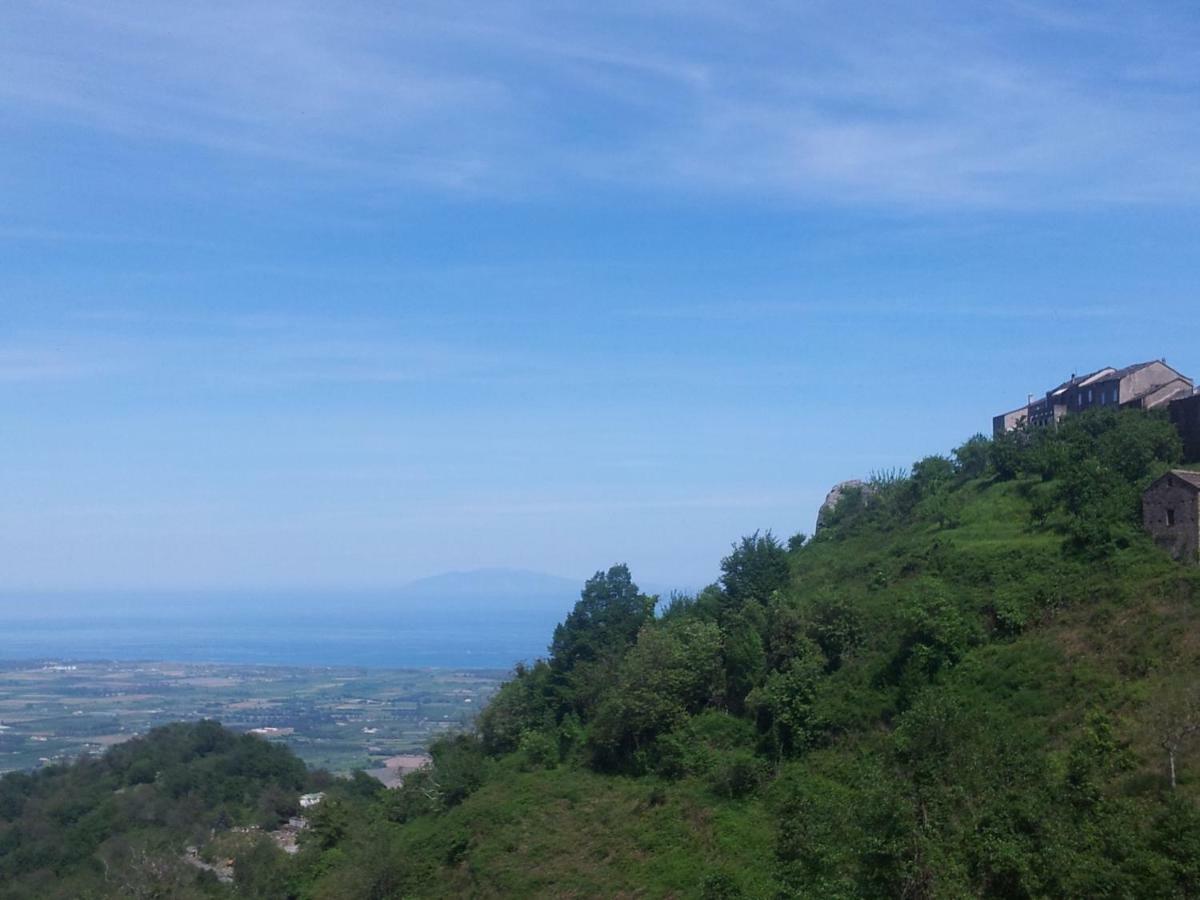 Gite La Fontaine Corse Loreto-di-Casinca 外观 照片